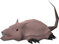 Brine rat.png
